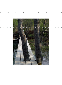 Коммерсантъ Weekend