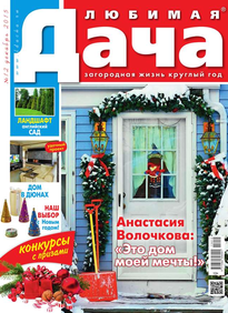 Любимая Дача