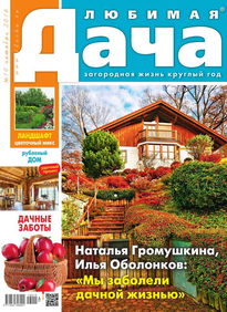 Любимая Дача