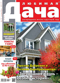 Любимая Дача