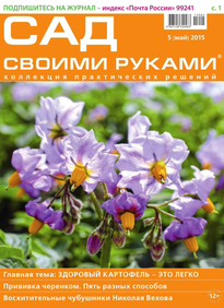 Сад Своими Руками