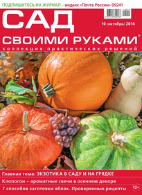 Сад Своими Руками